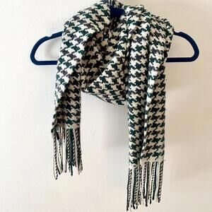 BANANA REPUBLIC wool rabbit hair green cream knit fringe scarf